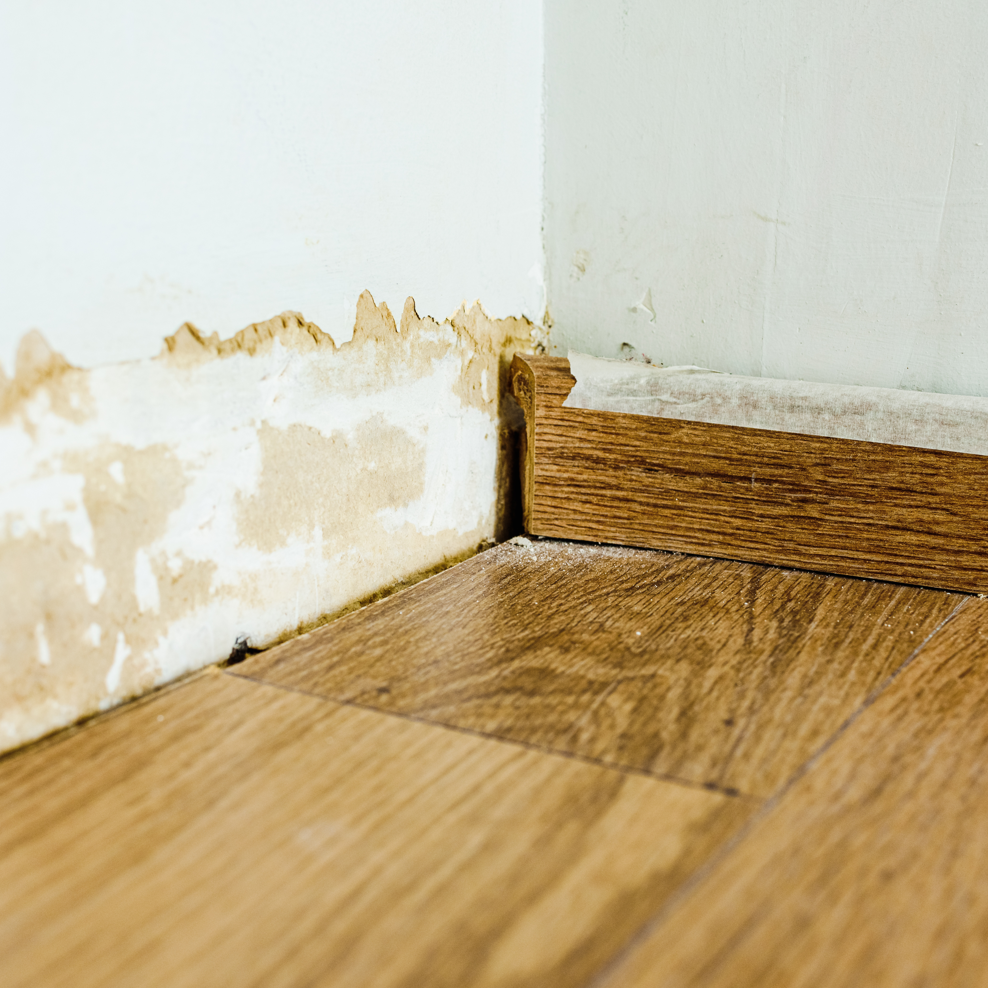 signs of water damage and how to fix it